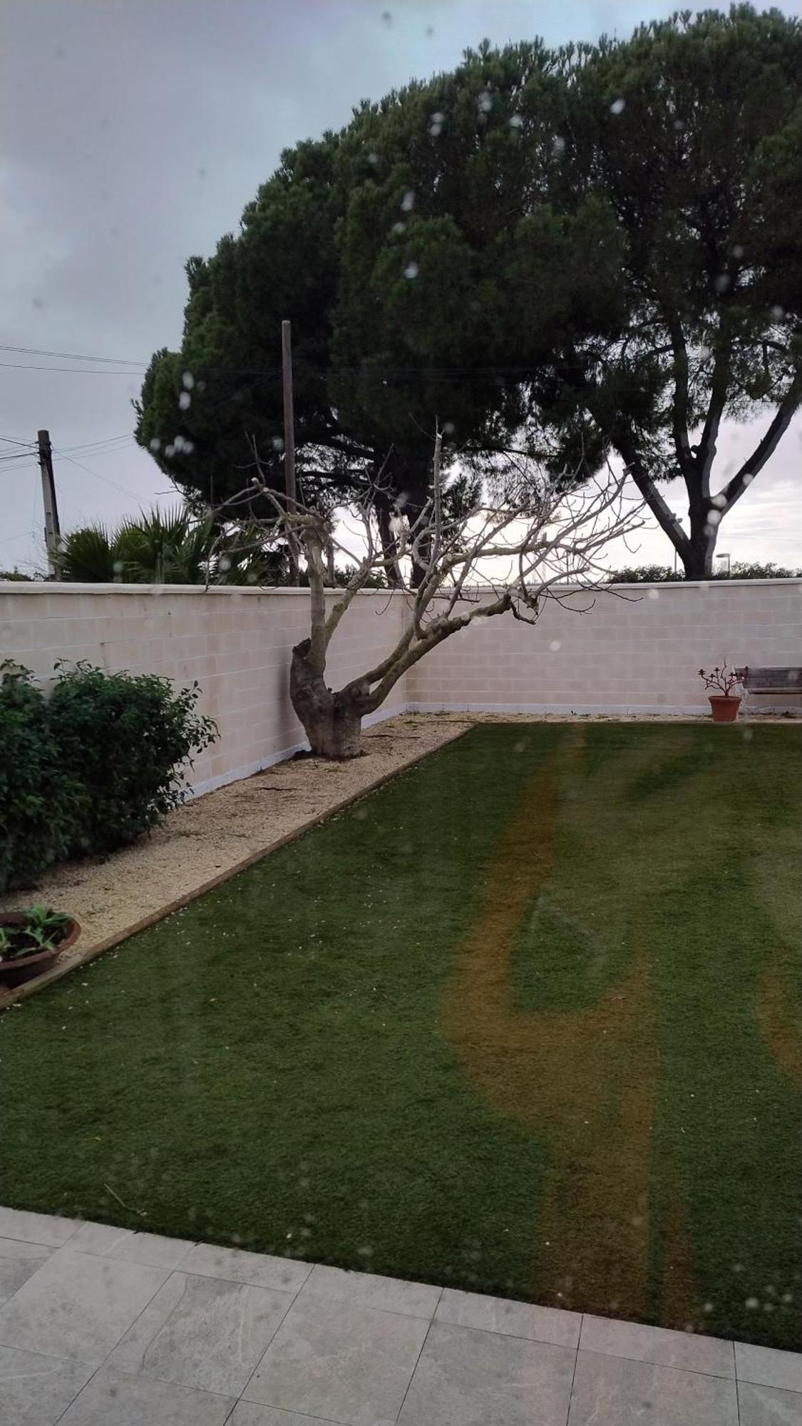 Apartamento Casa Oliva 52 Sevilla Exterior foto